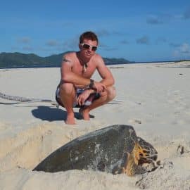 Nick Jones photo turtle on beach